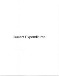 thumbnail of NHWNC April 2017 MER Current Expenditures
