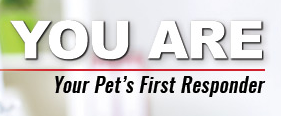 YOU are your pets first responder