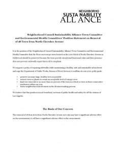 thumbnail of Item-19-ncsapostionstatementcherokee-_1_