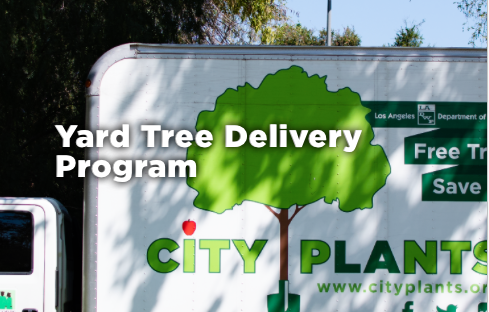 City Plants Yard Tree Delivery Program