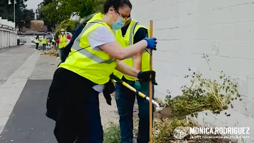 2021-05-mrod1 removing weeds