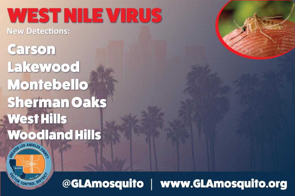 West Nile virus flyer