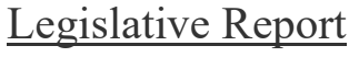 Legislative Report Title