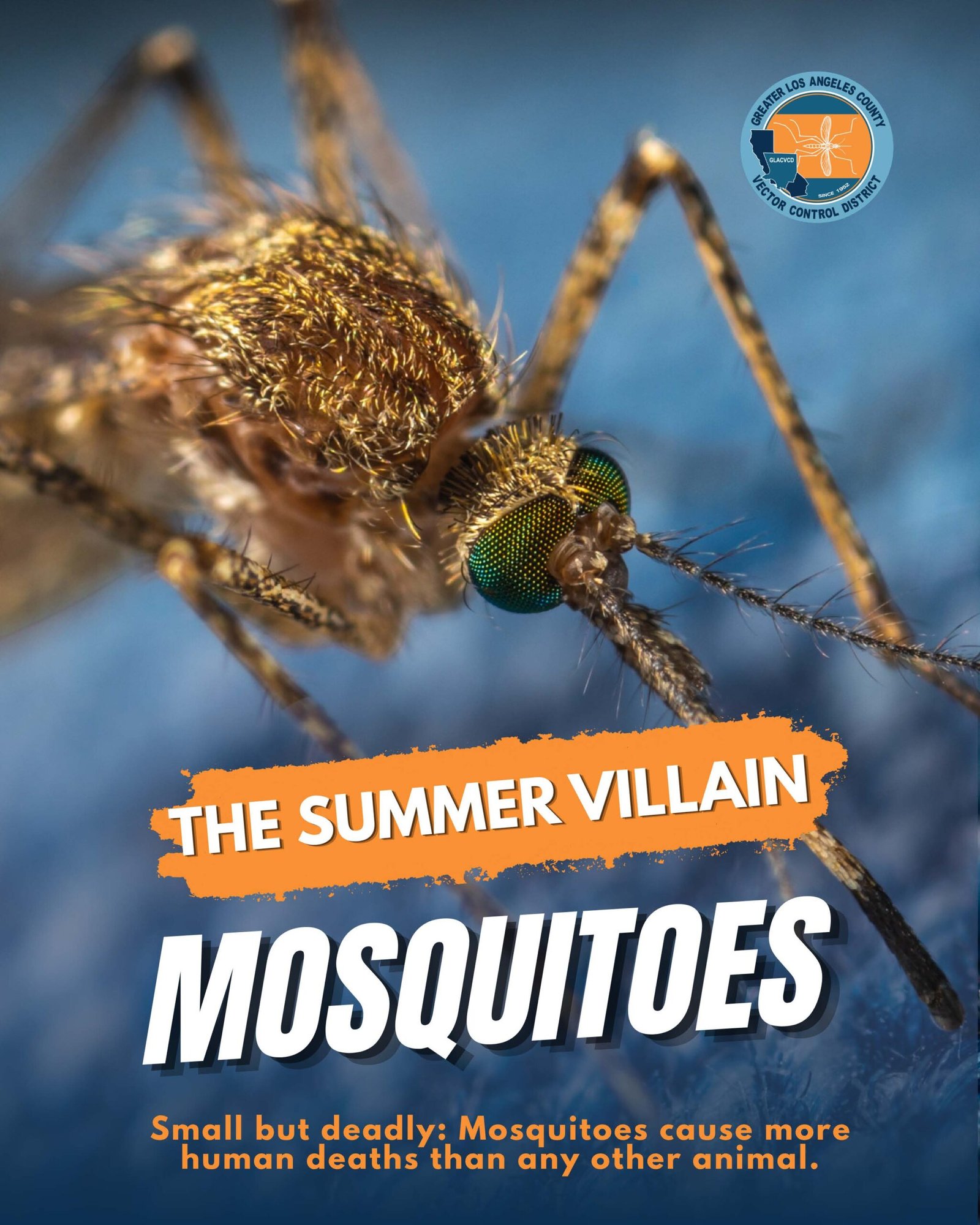 The Summer Villain: Mosquitoes
